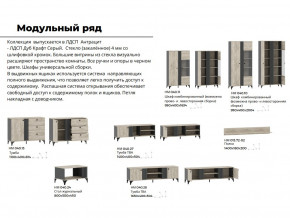 Гостиная Отис Дуб Крафт Серый/Антрацит в Шадринске - shadrinsk.magazinmebel.ru | фото - изображение 5