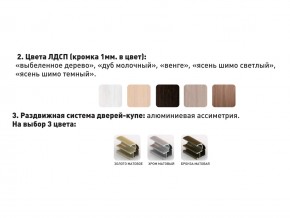 Шкаф-купе Акцент-Сим Д 1200-600 шимо светлый в Шадринске - shadrinsk.magazinmebel.ru | фото - изображение 3